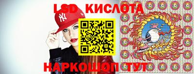 дмт Кимры