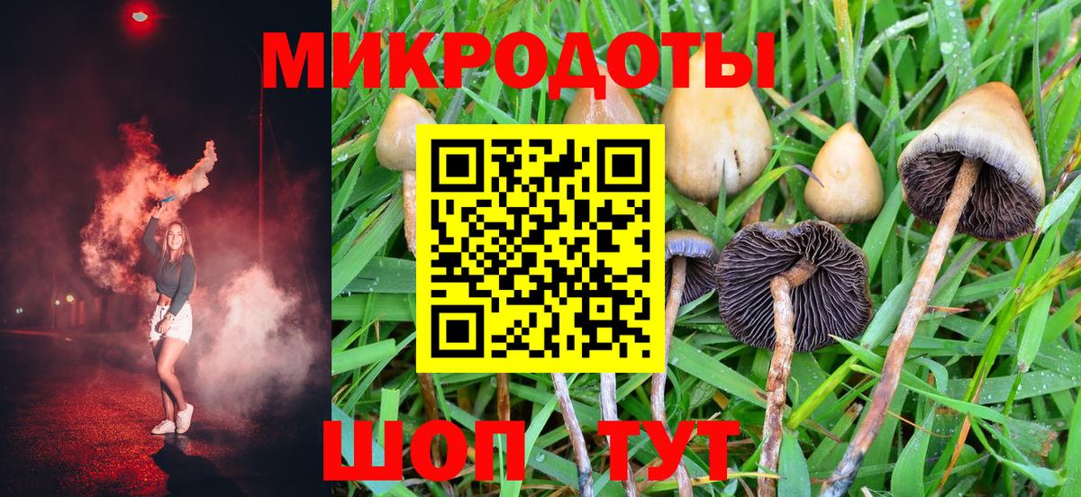 Галлюциногенные грибы Cubensis Златоуст