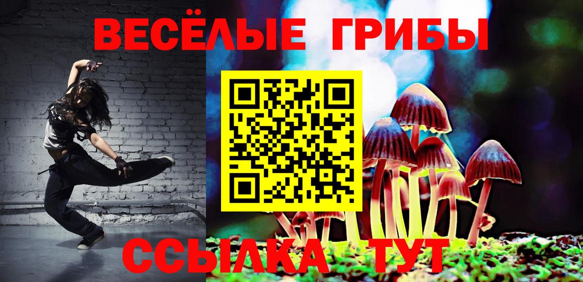 Златоуст  где продают   Вход с VPN  Псилоцибиновые грибы Psilocybine cubensis  Псилоцибиновые грибы мицелий 